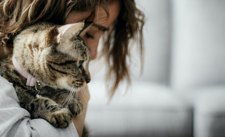 Top 10 Ways to Show Your Cats You Love Them