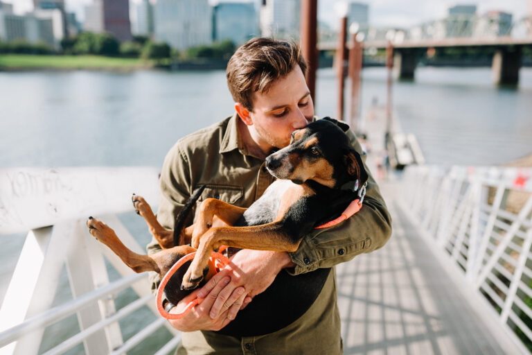 Costs of Owning and Take Care a Dog Today